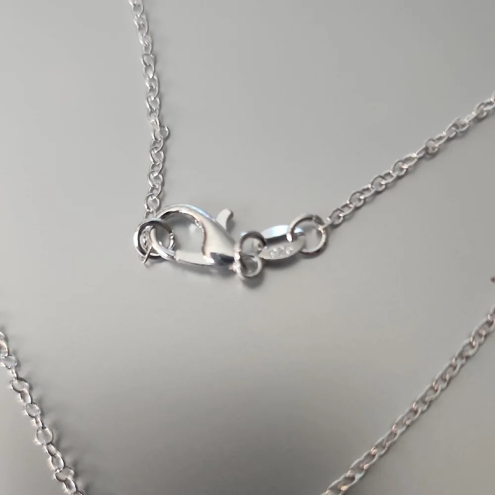 Silver Dog Bone Pendant Necklace 18 Inch CHAIN